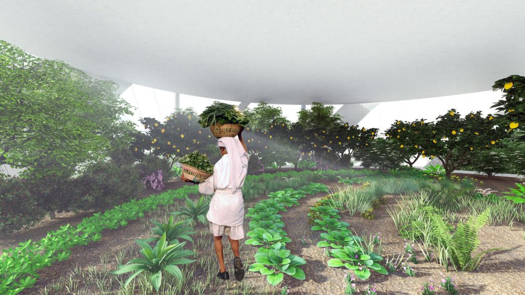 Vertical Botanical Ecology Museum: A Visionary Concept for Sana'a, Yemen