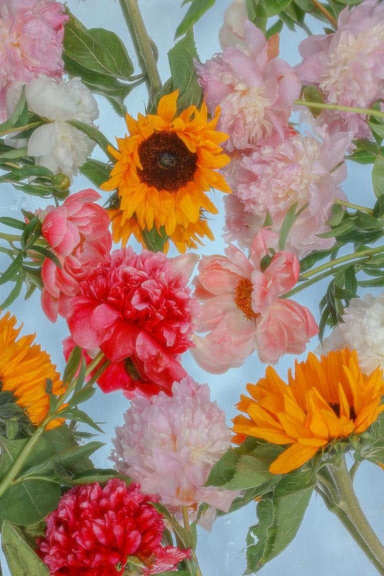 An interview with Joe Horner on his captivating floral artistry Vibrant mixed floral bouquet featuring sunflowers, peonies, and dahlias on a light background.