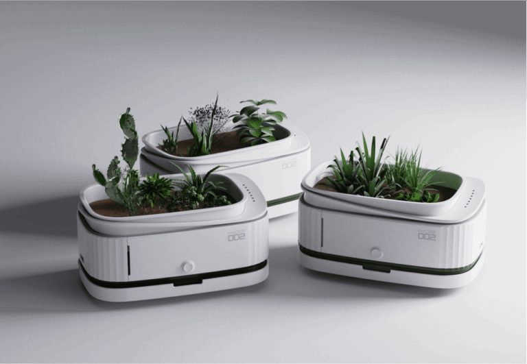 SPOT the Sun-Loving Pet Plant Bringing Toy Story to Life