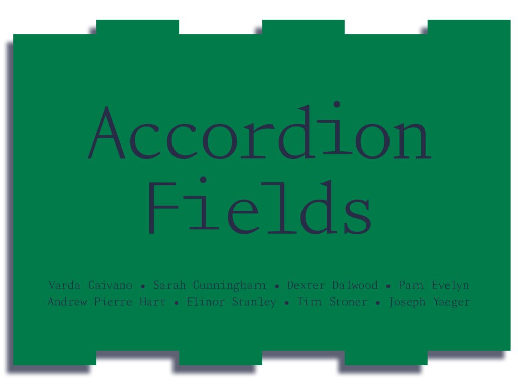 Lisson Gallery Presents Accordion Fields Exhibition Tour