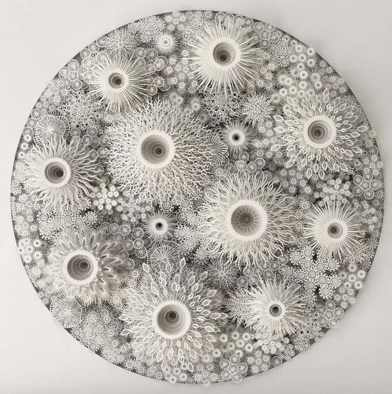 An interview with Rogan Brown on transcribing nature’s essence into exquisite paper sculptures Intricate white paper cut art featuring detailed floral and geometric patterns.
