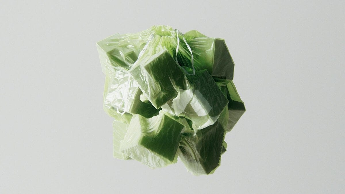 Vivid green lettuce wrapped in plastic packaging, fresh and ready for sale or consumption.