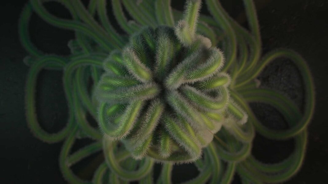 "Odd" by Hiroshi Takagishi a unique exploration of nature through media ...