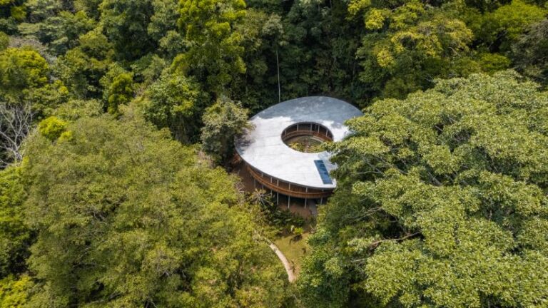 Studio Saxe designs Sinfonia Verde to harmonize with the rainforest Modern circular house nestled in lush forest canopy.