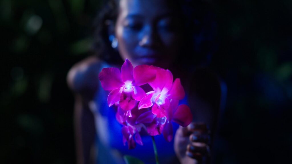 GLOWING GARDEN: Studio Roosegaarde's luminous tribute to nature's hidden beauty