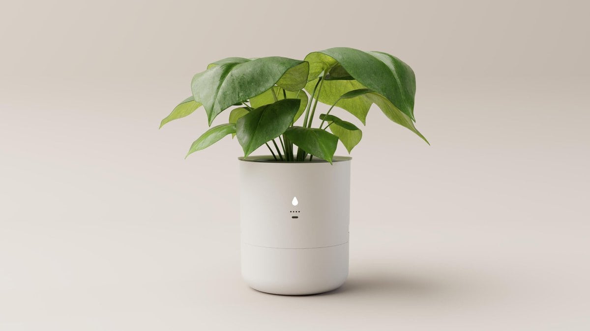 Indoor smart plant watering device with LED indicator lights.
