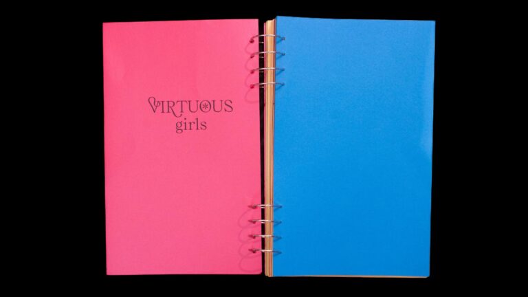 "Sinful Magical Girls" by Jie Jian: Reclaiming girlhood through art and typography Virtuous girls notebook with pink and blue covers, spiral-bound journal for women, colorful stationery, creative office supplies, feminine design.