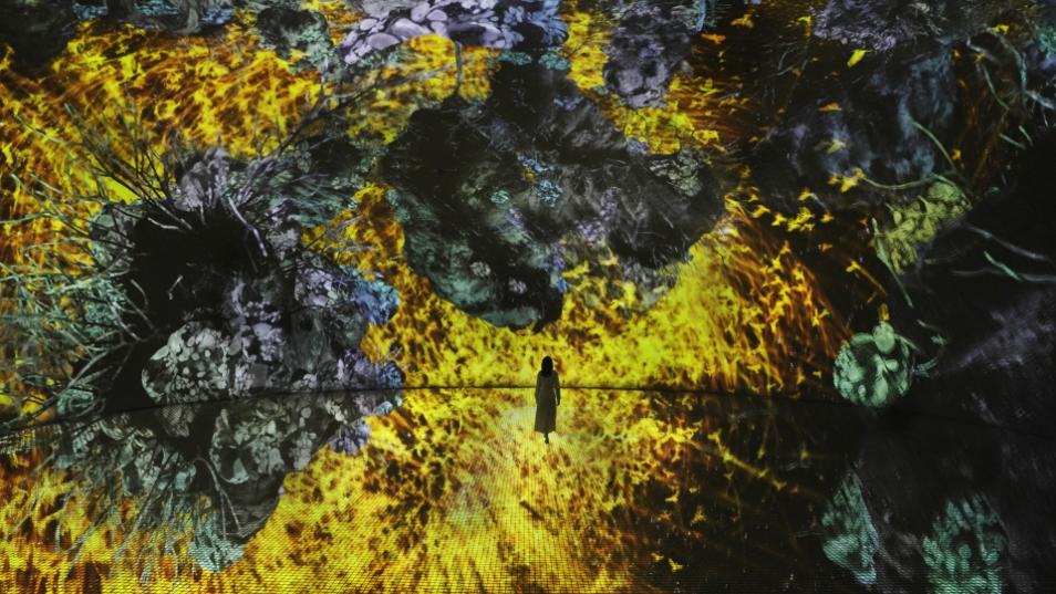 teamLab Phenomena Abu Dhabi to Open in April 2025