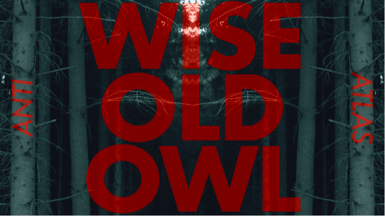 Anti Atlas, Gaz Coombs: Wise Old Owl