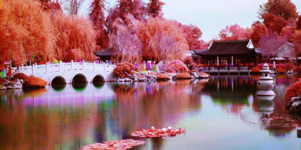 Tianrun Shi’s captivating infrared photography