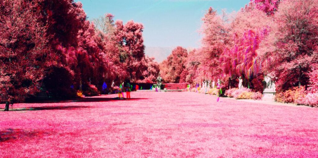 Tianrun Shi’s captivating infrared photography