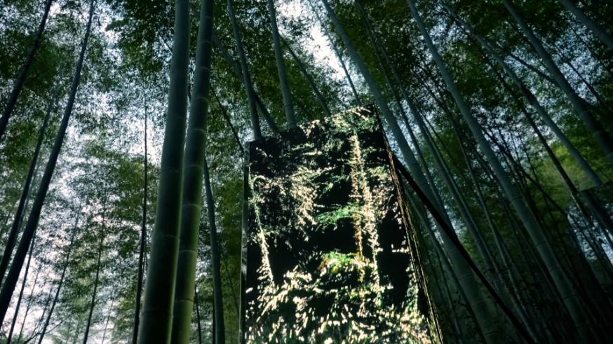 New media art installation by Cao Yuxi featuring AI-generated visuals and sound interaction