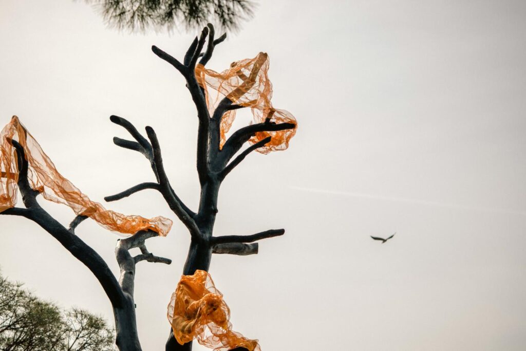 Thanos Zakopoulos reveals evocative pine installation at Ekies All Senses Resort