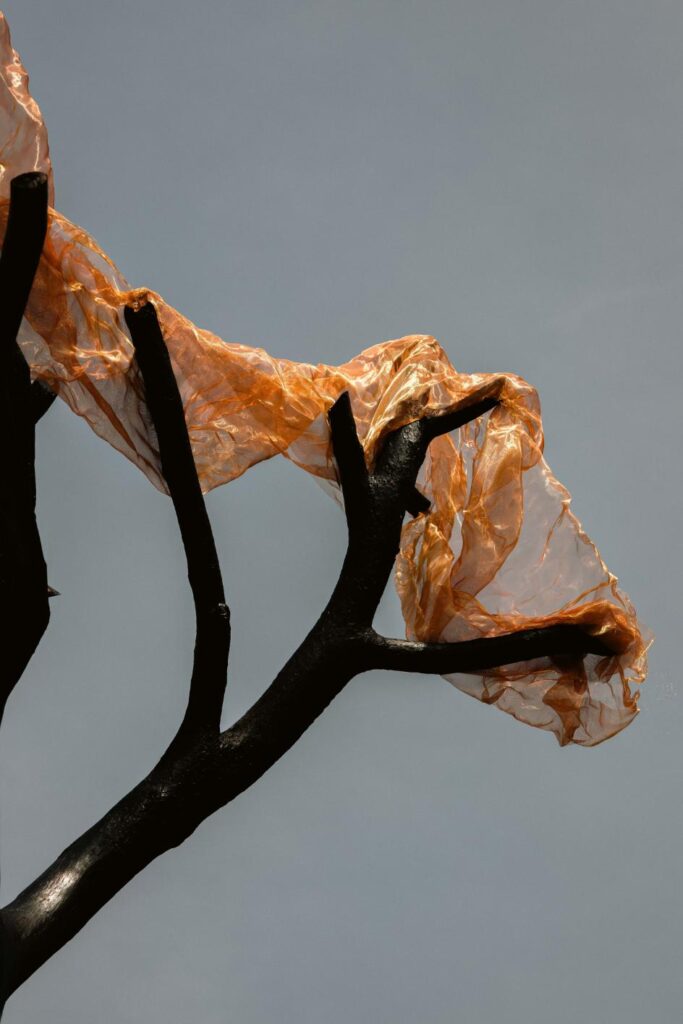 Thanos Zakopoulos Visual Atelier 8 art 4