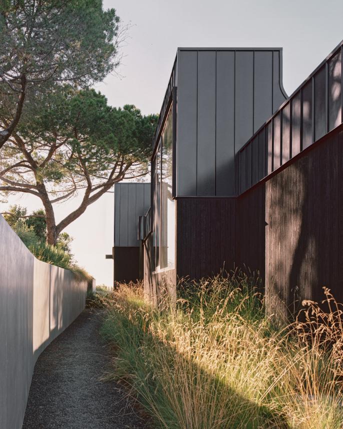 Wide-angle shot of the House of Horns blending into the wild native grass and oak-covered hillside