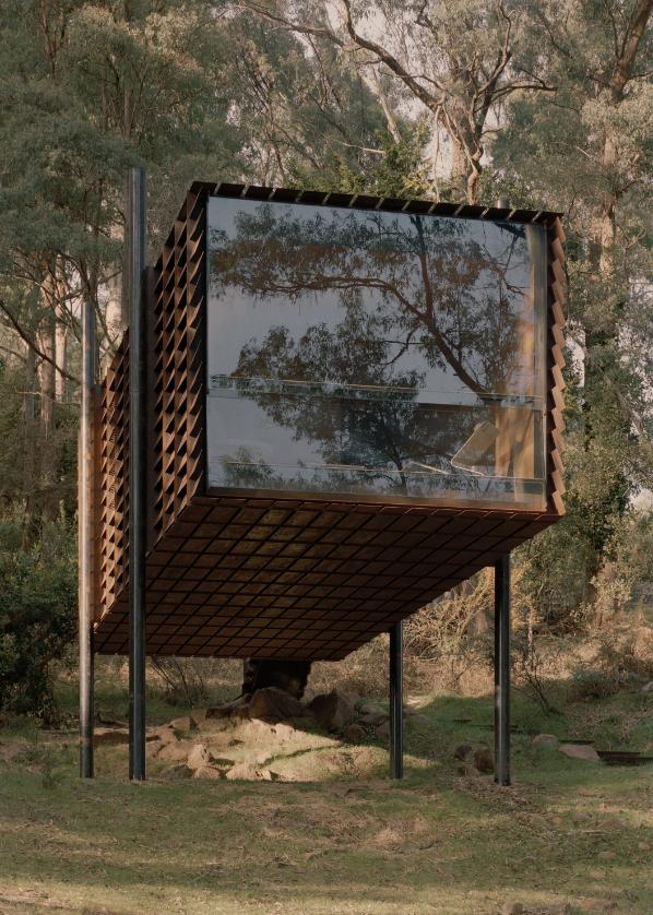 Elevated treehouse home nestled in tall Australian forest designed by Robbie Walker
