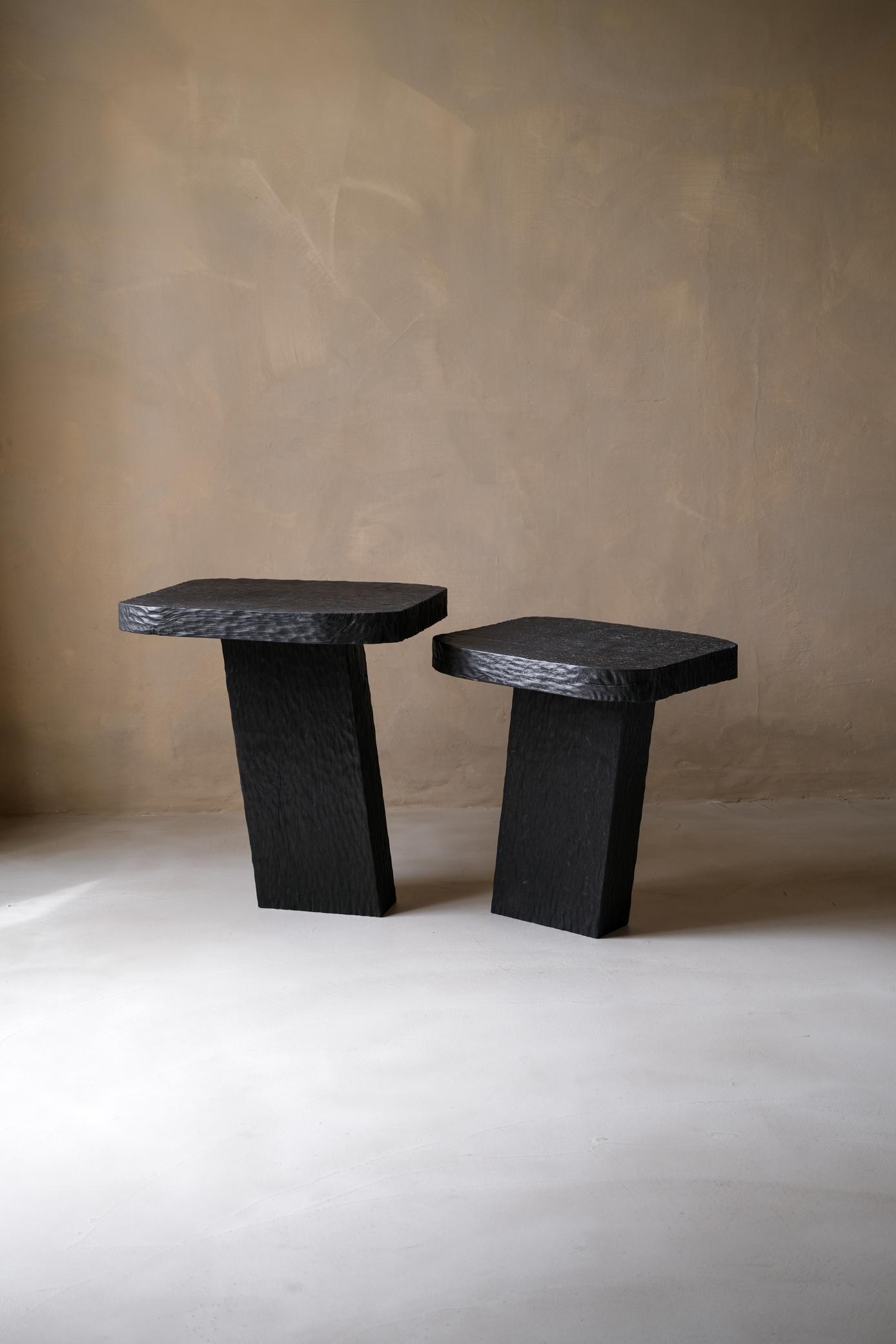 Dark wood modern side tables for contemporary interior design.