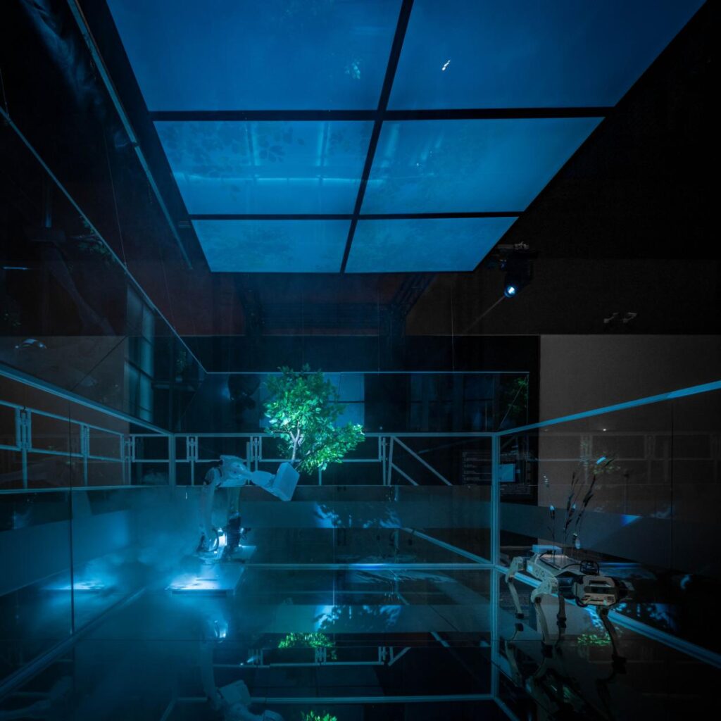 Baoyang Chen's installation brings AI art into physical space