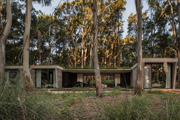 Gonzalo Bardach designs a sustainable forest retreat in Buenos Aires