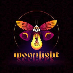 Moonlight Seekers: Where Did the Hour Go?