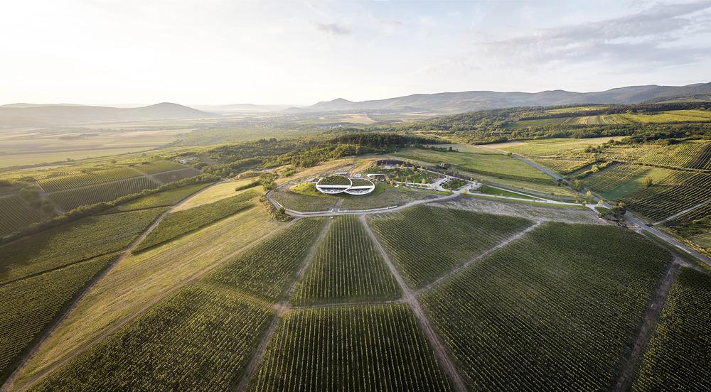Exterior view of Sauska Tokaj winery by BORD rises above