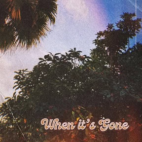 FAKE SUEDE: When it’s Gone