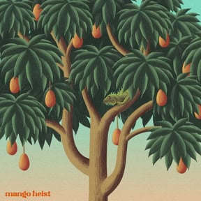 mango heist: under the jazz tree, the message