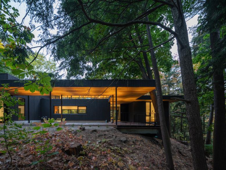 Orangeink Design transforms Ravine House into a luminous modern home -