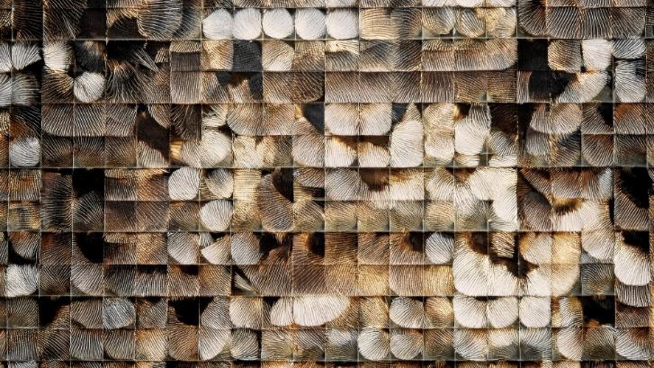 AI-generated satellite patterns morphing with rhythmic visual energy