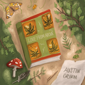 Austin Grimm: Love From Above