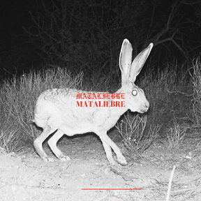 Mataliebre: Catalina