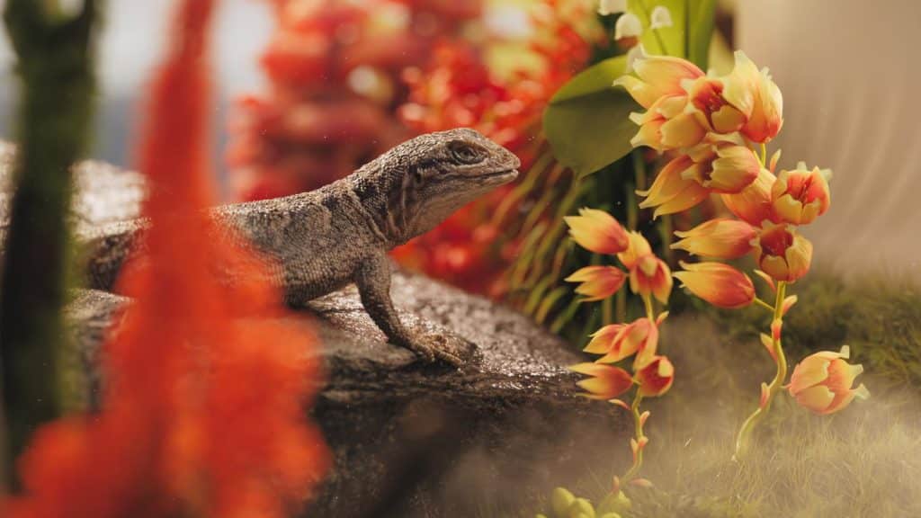 Surreal digital composition linking natural energy with premium product identity