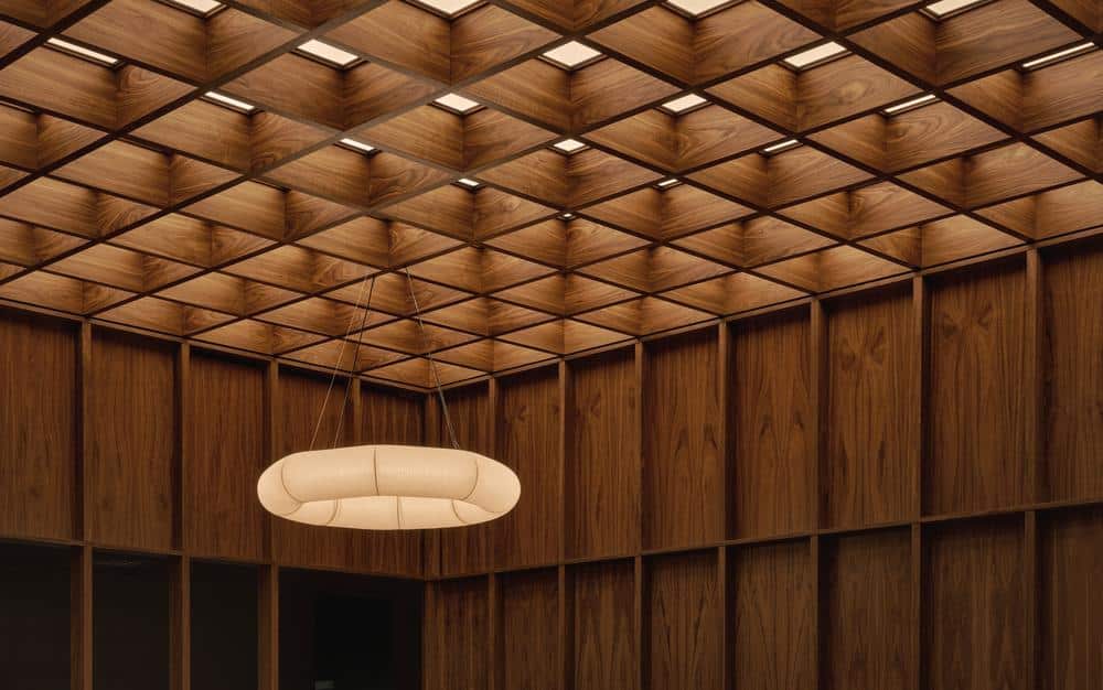Skylight diffusing daylight across the main waiting area