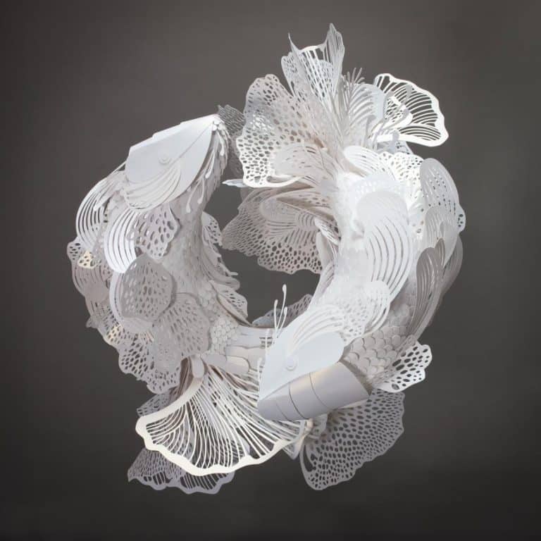 Lisa Lloyd creates intricate paper sculptures inspired by nature Lisa Lloyd creates intricate paper sculptures inspired by nature