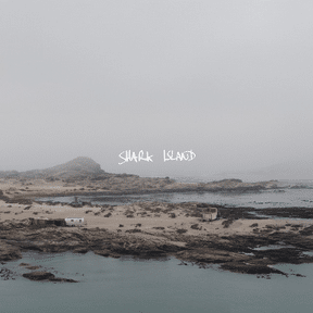 Thylacine: Shark Island