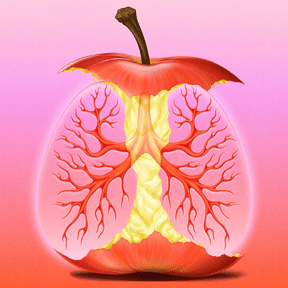 Allegories: Baker’s Lung