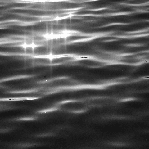 RÊVERIE: deep end