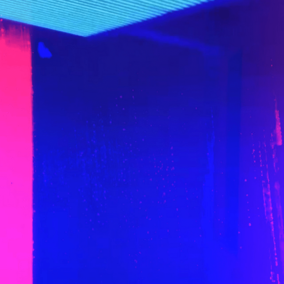 Greatr Fool: Into the Neon