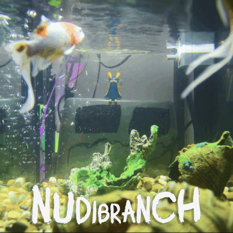 Scared Little Toaster: NUDIBRANCH