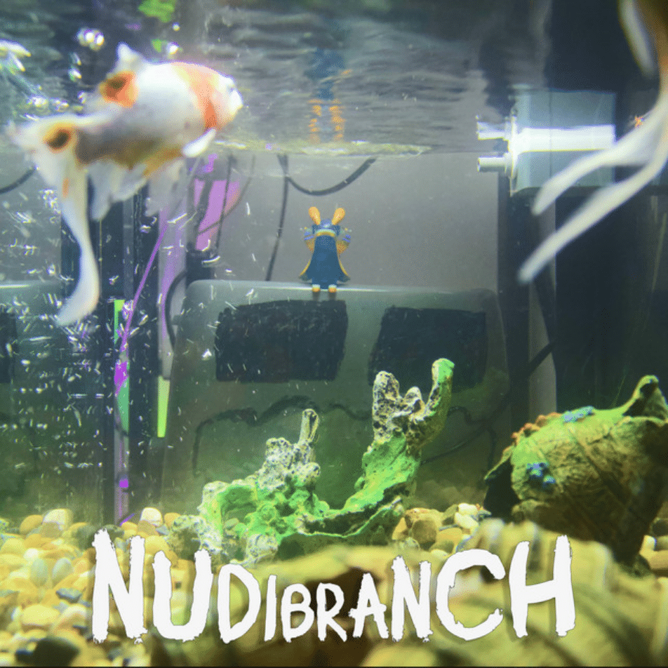 Scared Little Toaster: NUDIBRANCH