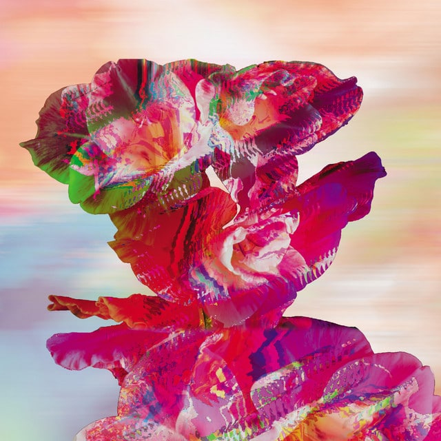 Brainwavve, Bayonne: Bloom Brainwavve – Bloom (feat