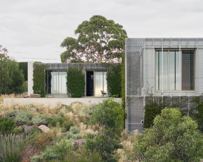 Hedge and Arbour House mediates suburban street and native bushland -
