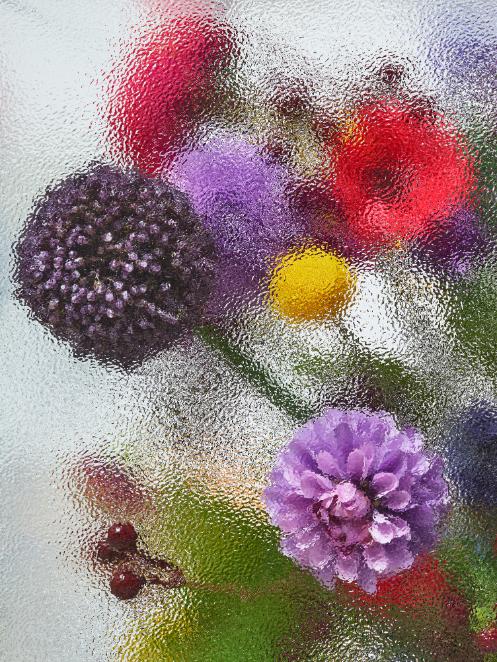 Close view of glass texture distorting petals into soft gradients