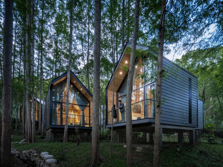 Stilted Metasequoia Wood Cottage above forest floor