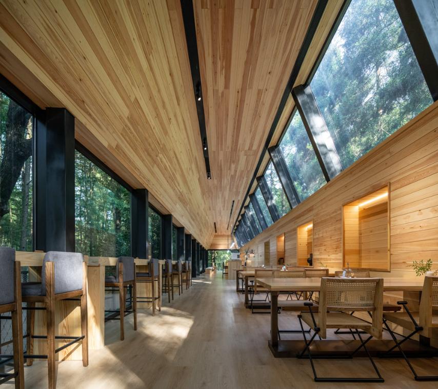 Reception centre with large south facing window overlooking metasequoia forest
