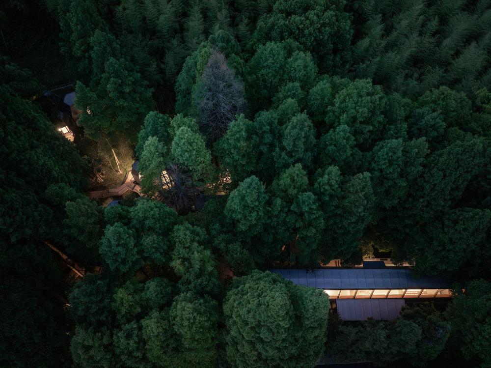 Forest stream beside cabins in Hangzhou woodland