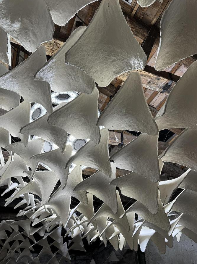 Mycelium canopy filtering light inside architectural installation