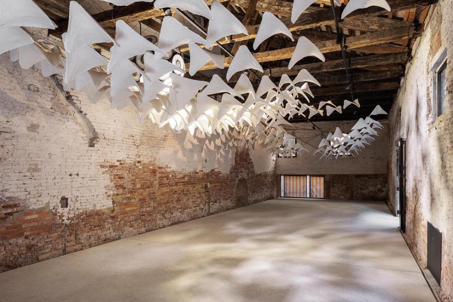 Flight into Shadow shaping comfort through light and perception