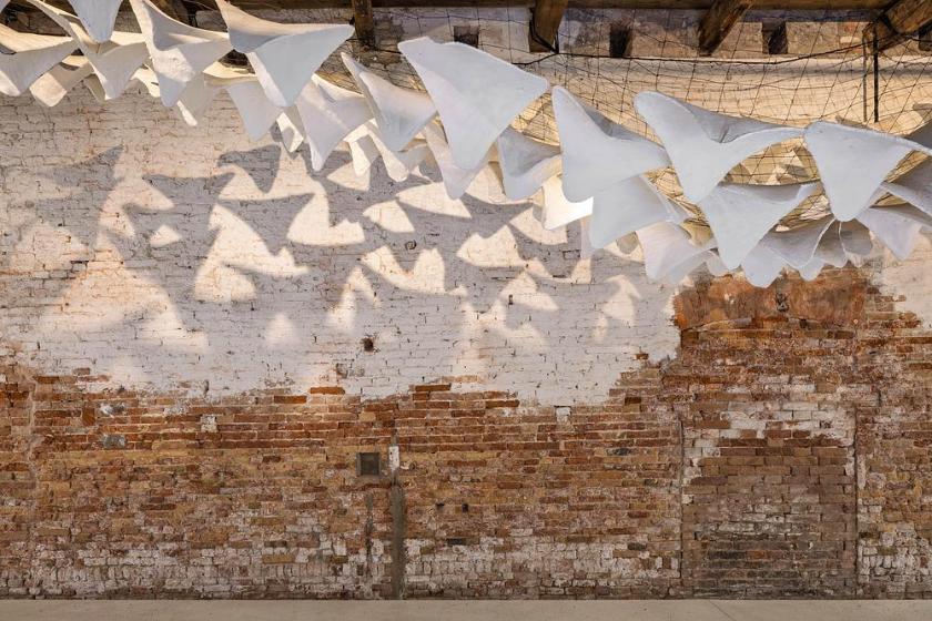 Flight into Shadow installation shaping comfort through light and perception -