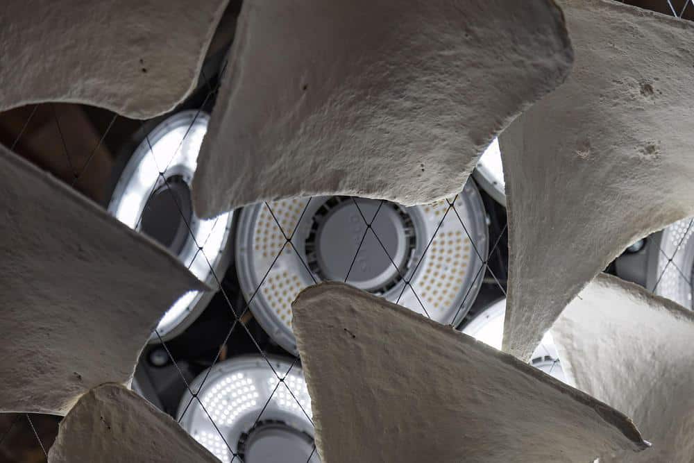 Detail of living mycelium structure used as light filter